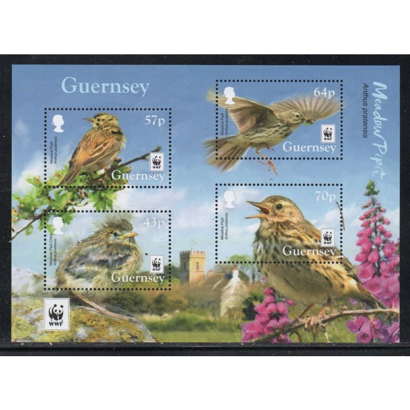 Guernsey Sc 1382a 2017 Birds WWF  stamp sheet mint NH