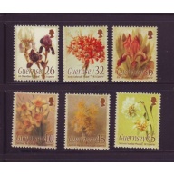 Guernsey Sc 860-865 2005 Paintings of Flowers stamp set mint NH