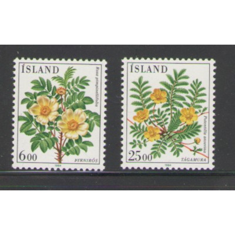 Iceland Sc 586-587 1984 Flowers stamp set mint NH