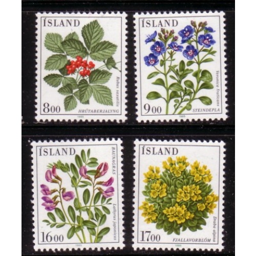 Iceland Sc 602-605 1985 Flowers stamp set mint NH