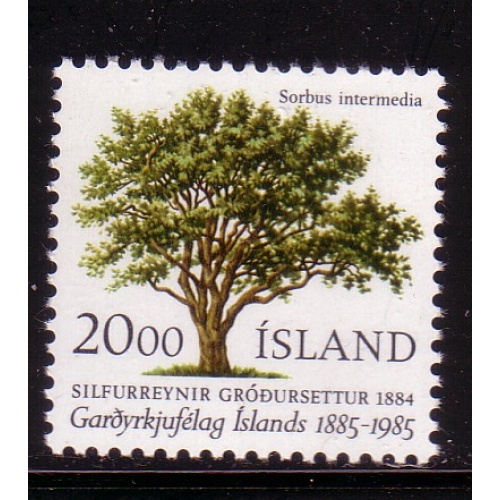 Iceland Sc 608 1985 Tree stamp mint NH