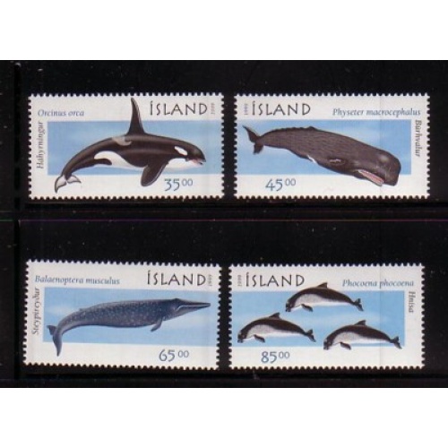 Iceland Sc 873-876 1999  Marine Mammals stamp set mint NH