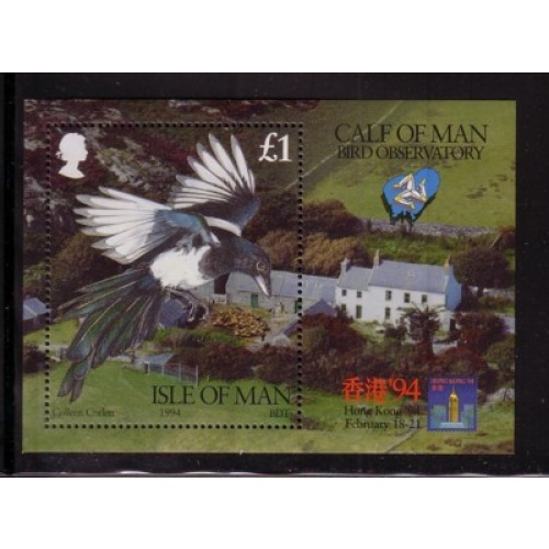 Isle of Man Sc 593 1994 Birds calf of Man Observatory stamp sheet mint NH