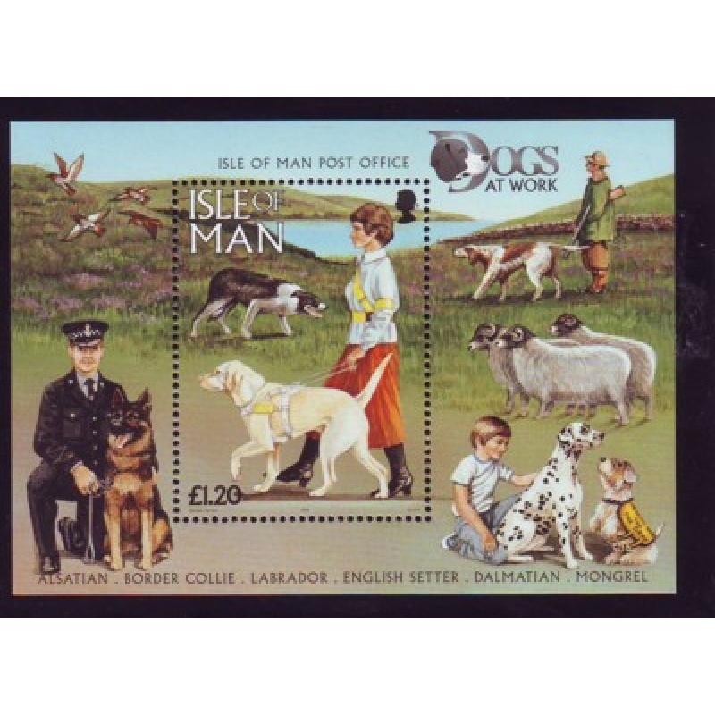 Isle of Man Sc 722 1996 Dogs stamp sheet mint NH