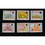 Jersey Sc 1042-1047  2002  Battle of Flowers Anniversary stamp set  mint NH