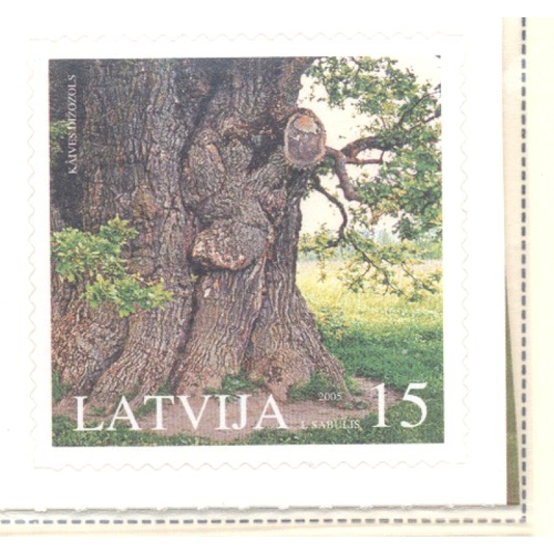 Latvia Sc 619 2005 Kaive Oak stamp mint NH