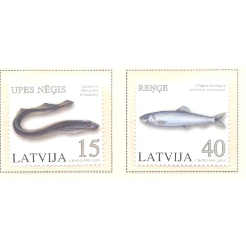 Latvia Sc 620-621 2005 Fish stamp set mint NH