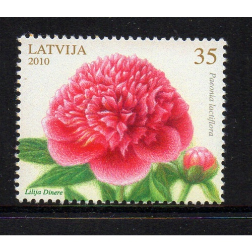 Latvia Sc 757 2010 Peonies stamp mint NH