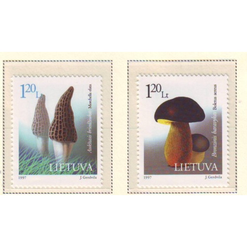 Lithuania Sc  583-84 1997 Mushrooms stamp set mint NH