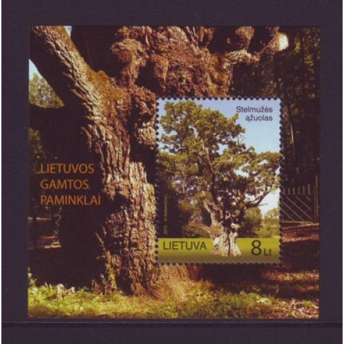 Lithuania Sc 919  2010 Oak of Stelmuze stamp sheet mint NH