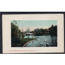 Valentine & Sons Colour PC lake at Beacon Hill Park Victoria, B.C.  unused