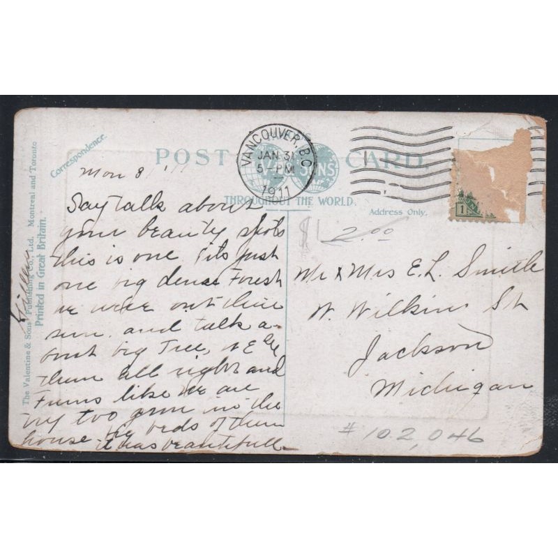 Valentine & SonsColour PC Big Cedar Stanley Park used 1911