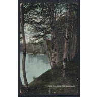 Valentine & Sons Colour PC  Stanley Park view used 1909