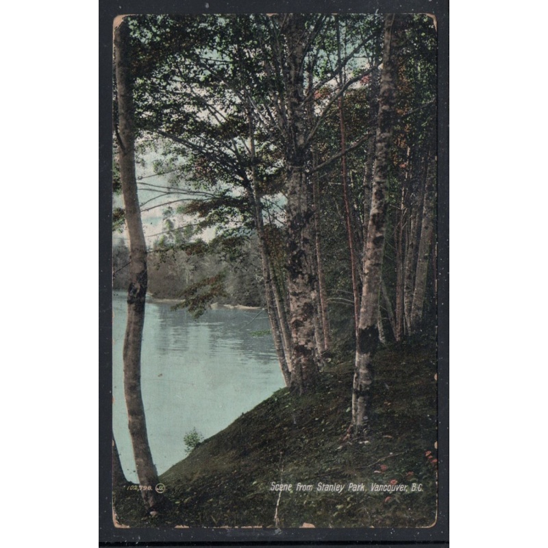 Valentine & Sons Colour PC  Stanley Park view used 1909