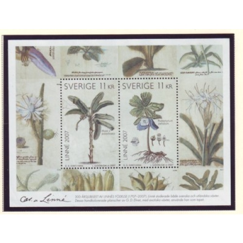 Sweden Sc 2561 2007 Botanical Illustrations stamp sheet mint NH